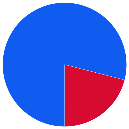 large pie chart